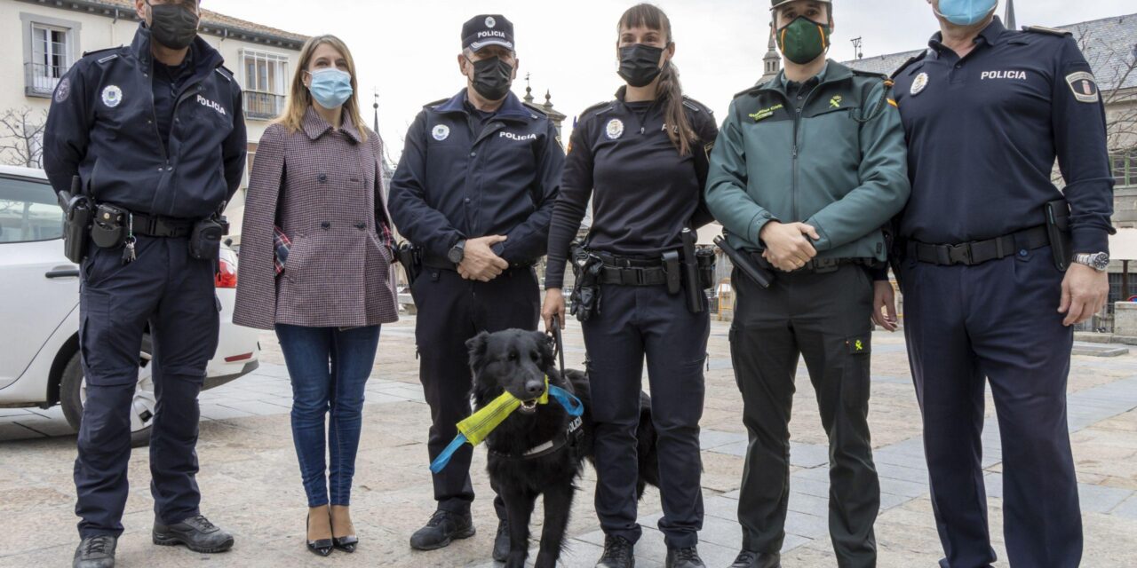 El perro policía Arko reforzará la seguridad en San Lorenzo de El Escorial